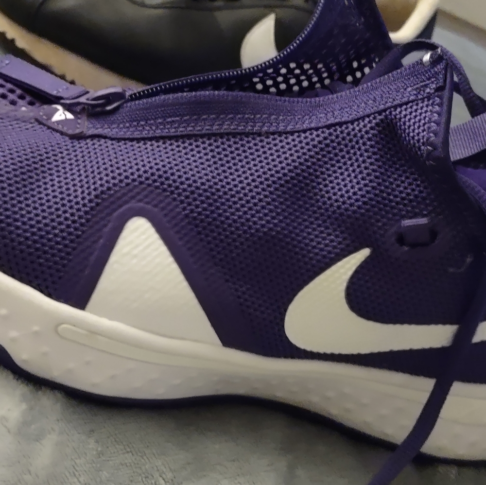 Nike size 9 men's Paul Gregory 4 shoes